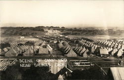 Scene of Camp Ord Postcard