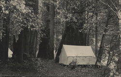 Berkeley Redwood Camp Cazadero, CA Postcard Postcard Postcard