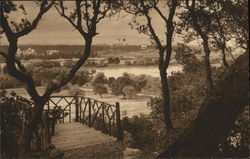 Stanford University from the Hills Postcard