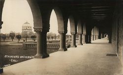 Stanford University and Grounds Postcard