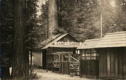 Camp of Cabins Cazadero, CA Postcard Postcard Postcard