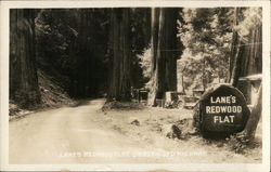 Lane's Redwood Flat Postcard