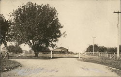 Main Street Entrance to University Farm Postcard