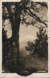 Mt McLaughlin from Roxy Ann Butte Postcard