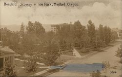 View of Park Postcard