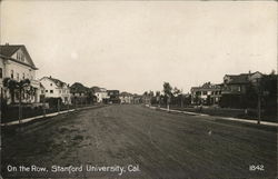 On the Row, Stanford University California Postcard Postcard Postcard