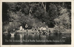 The Old Swimming Pool at Burke Sanitarium California Postcard Postcard Postcard