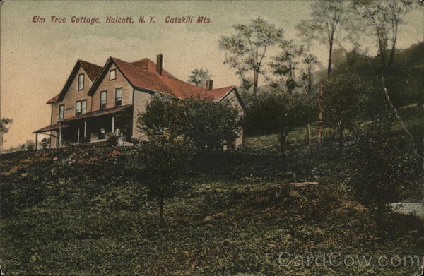 Elm Tree Cottage in the Catskill Mountains Halcott, NY Postcard