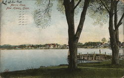 Morris Cove New Haven, CT Postcard Postcard Postcard