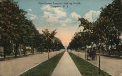 Pine Grove Avenue Looking North Kingston, NY Postcard Postcard Postcard