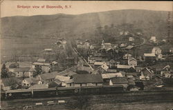 Birdseye View of Bloomville Postcard