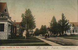 Residential View of Chestnut Street New Paltz, NY Postcard Postcard Postcard