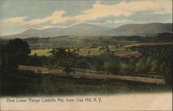 View Lower Range Catskills Mountains Postcard