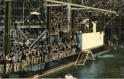 Largest Bathing Establishment in the World San Francisco, CA Postcard Postcard Postcard