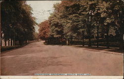 Tree Lined Sunnyside Driveway South Bend, IN Postcard Postcard Postcard