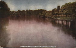 Scene in Leeper Park Postcard