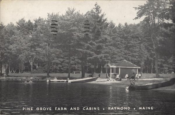 Pine Grove Farm and Cabins Raymond, ME Postcard