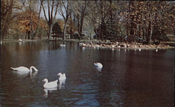 Leeper Park - Duck Pond South Bend, IN Postcard