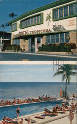 Tropicana Motel Miami Beach, FL Postcard Postcard Postcard