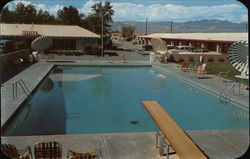 Lone Palm Motel Postcard