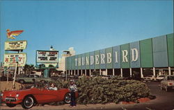 Hotel Thunderbird Postcard