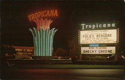 Tropicana Hotel Postcard