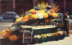 San Francisco Flower Stand Postcard