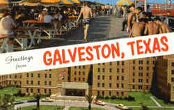 Greetings From Galveston Postcard