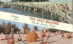 Greetings From The Gulf Beaches Postcard