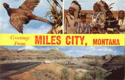 Greetings From Miles City Postcard