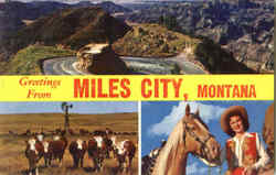 Greetings From Miles City Postcard