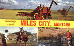 Greetings From Miles City Postcard