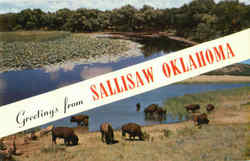 Greetings From Sallisaw Postcard