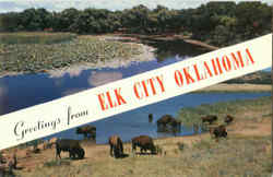 Greetings From Elk City Oklahoma Postcard Postcard