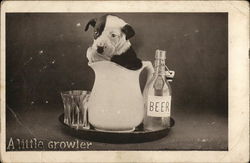 Puppy Situated Inside Pitcher Next to Glass and Beer Bottle Postcard