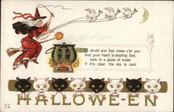 Witch Riding Broom with Whip Raised at Team of Birds Postcard