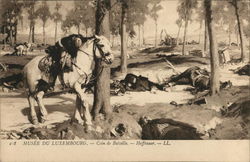 Battlefield Showing Dead and Wounded, White Horse Military Postcard Postcard