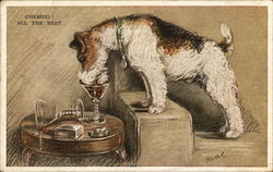 "Cheerio! All the Best" - Wire Haired Terrier drinks from a Cocktail Glass Postcard