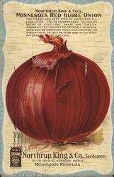 Northrup, King & Co's Minnesota Red Globe Onion Postcard