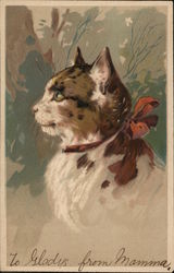 Closeup Profile of White and Brown Cat with Red Bow Postcard