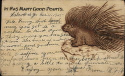 Porcupine: It Has Many Good Points Postcard Postcard Postcard