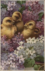 A Happy Easter To You With Chicks Postcard Postcard