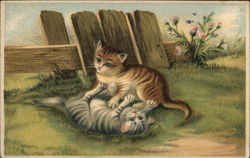 Two Kittens Playing, One Gray and One Brown Postcard