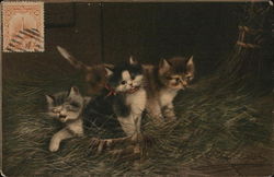 Three Kittens Postcard