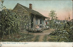 House Situated Among Cornfields with People on Porch Outhouses & Bathrooms Postcard Postcard