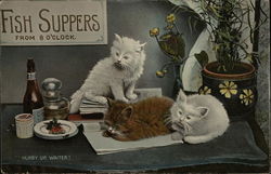 Sign: Fish Suppers from 8 O'Clock - Three Cats Waiting Postcard Postcard