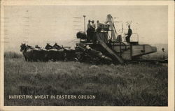 Harvesting Wheat in Eastern Oregon Farming Postcard Postcard Postcard