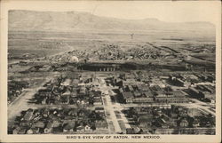 Bird's-Eye View of Raton, New Mexico Postcard