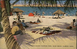 Surfside Park Miami Beach, FL Postcard Postcard Postcard