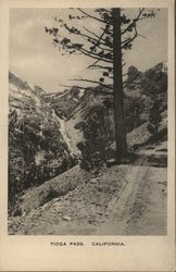 Tioga Pass California Postcard Postcard Postcard